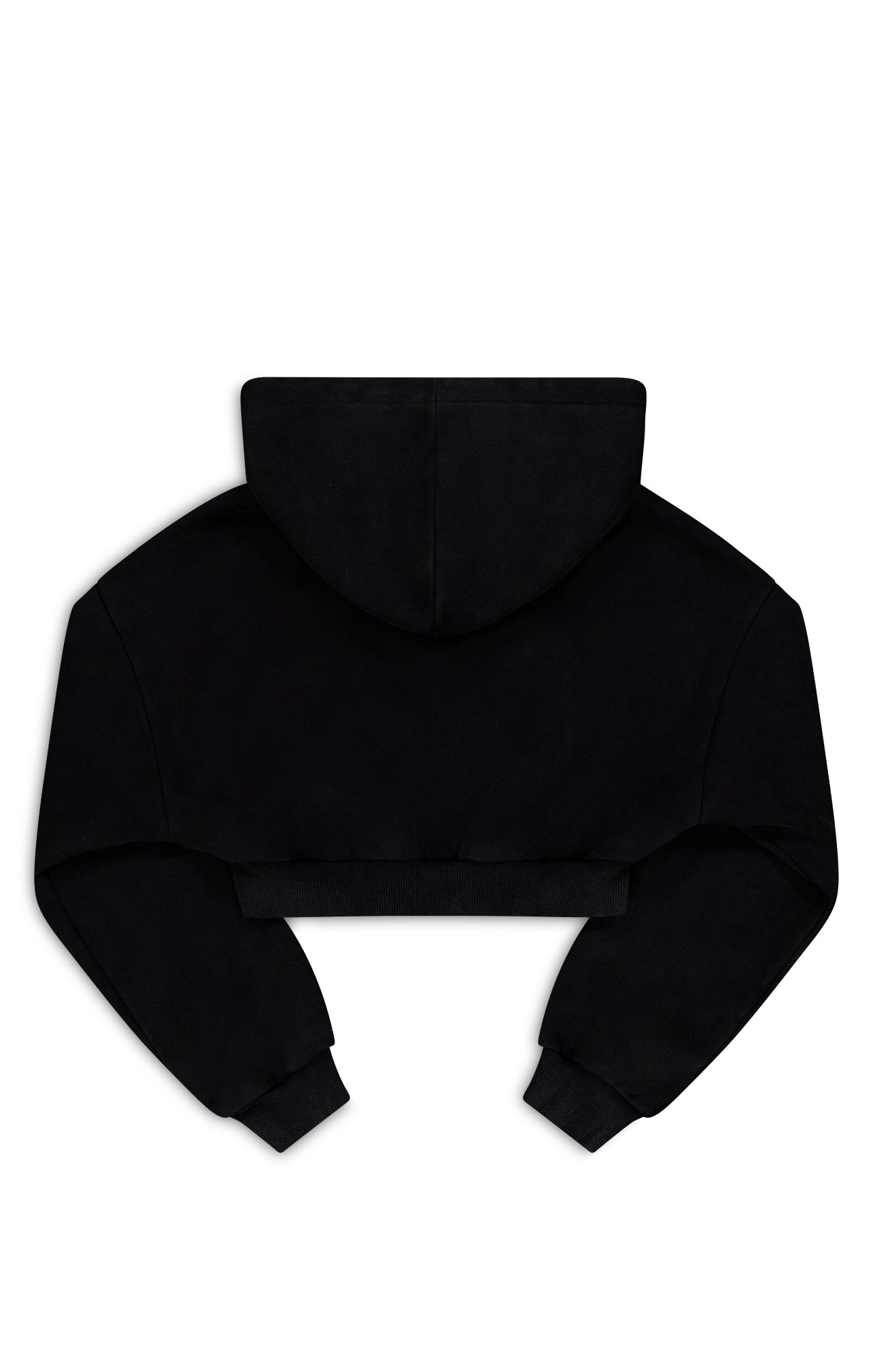 VINTAGE CROP ZIP HOODY - Washed Black