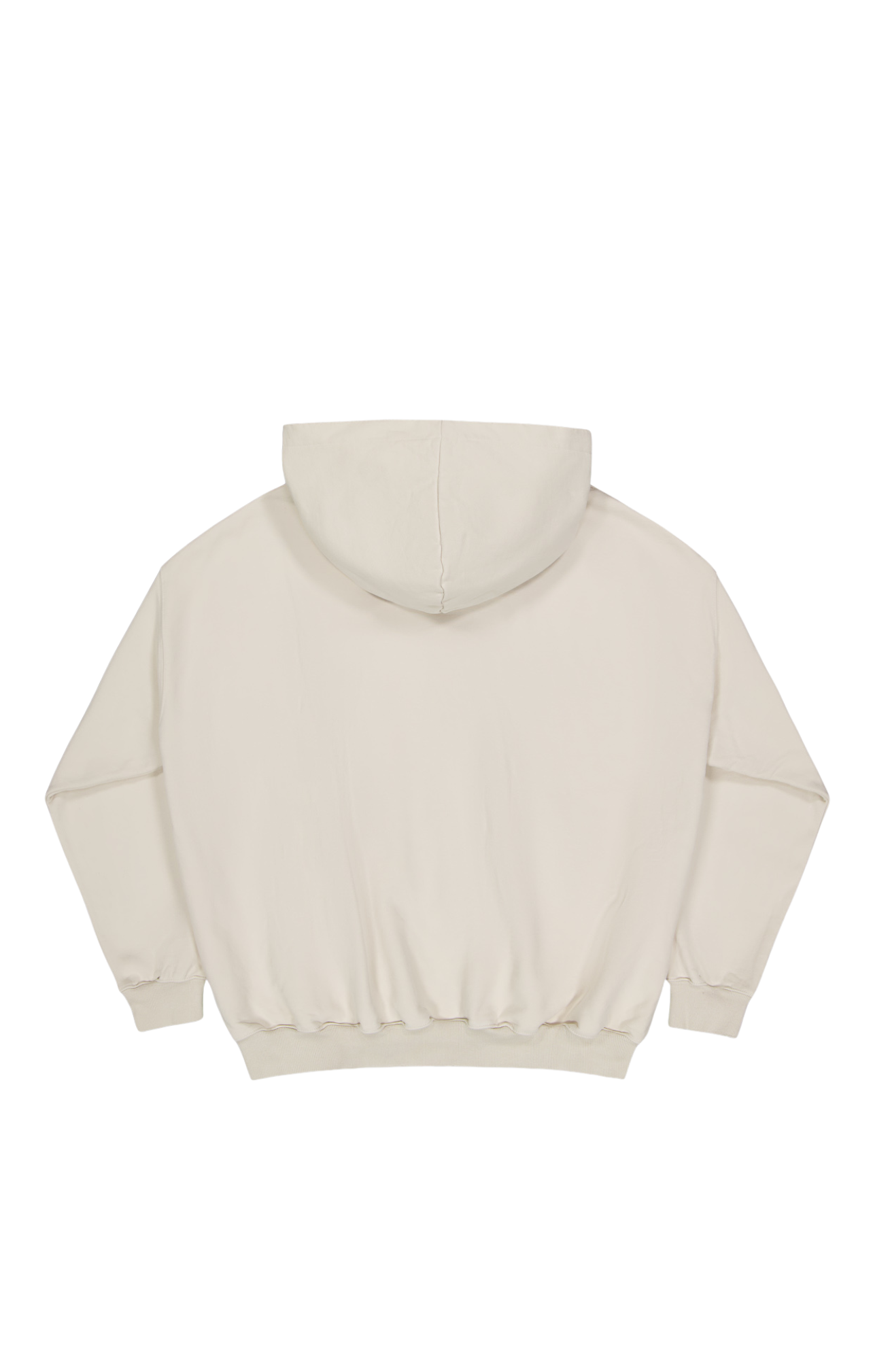 VINTAGE ZIP HOODY - Washed bone